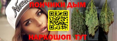 скорость Дубна