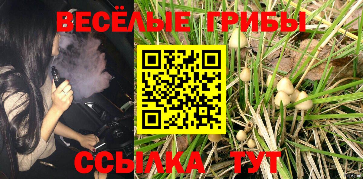 Лесосибирск  Галлюциногенные грибы GOLDEN TEACHER  Вход с VPN 